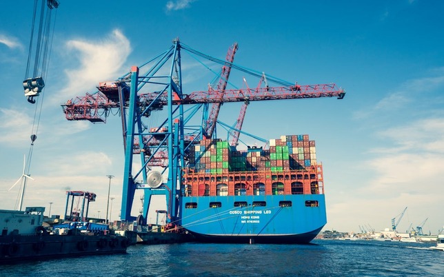 pexels robert schwarz 1488822070 34060583 (1)